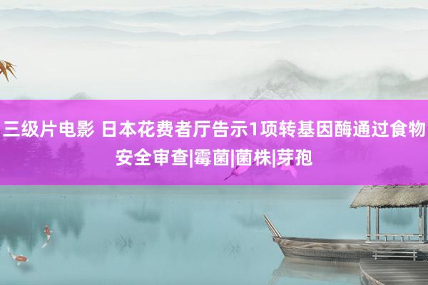 三级片电影 日本花费者厅告示1项转基因酶通过食物安全审查|霉菌|菌株|芽孢