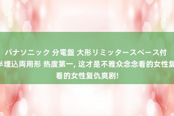 パナソニック 分電盤 大形リミッタースペース付 露出・半埋込両用形 热度第一， 这才是不雅众念念看的女性复仇爽剧!