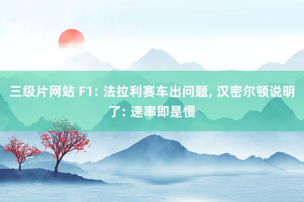 三级片网站 F1: 法拉利赛车出问题， 汉密尔顿说明了: 速率即是慢