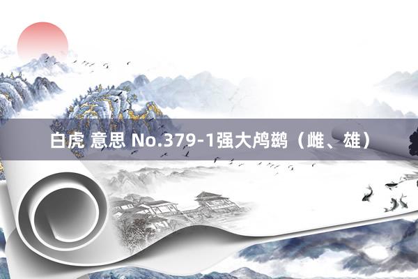 白虎 意思 No.379-1强大鸬鹚(雌、雄)